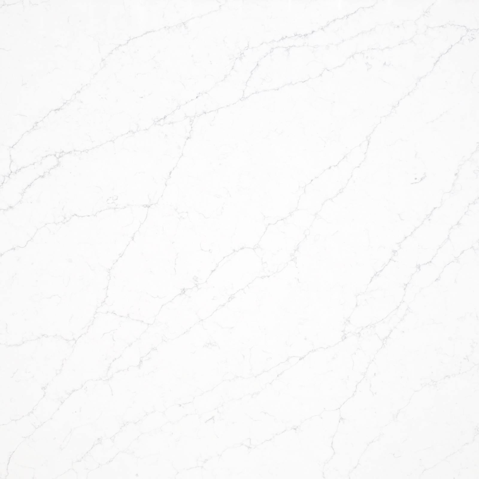 Majestic White by Bedrosians Tile & Stone
