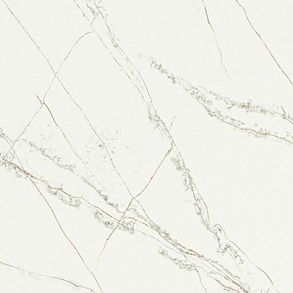 Calacatta Royale by Daltile Swatch